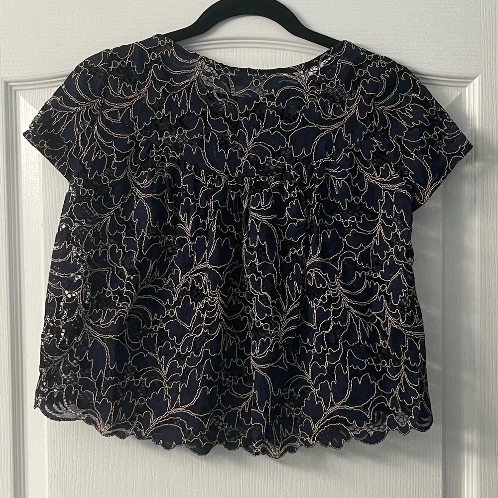 Zara Basics Collection Navy Blue Lace Short Sleeve Sheer Top - Picture 4 of 5